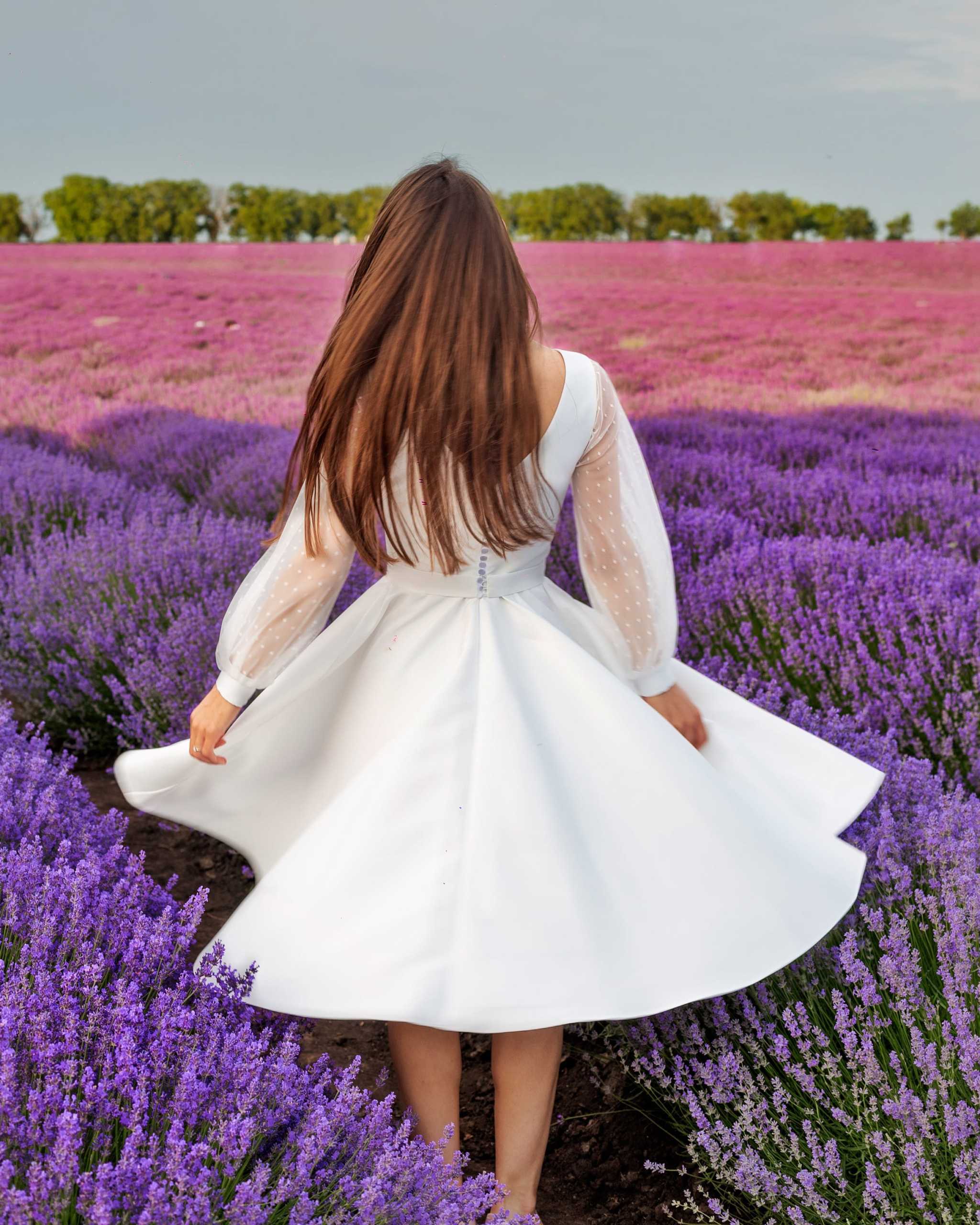 Rochie cununie civila midi din satin regal cu mâneci lungi și cordon detașabil în câmp de lavandă.